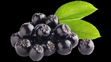 aronia.png
